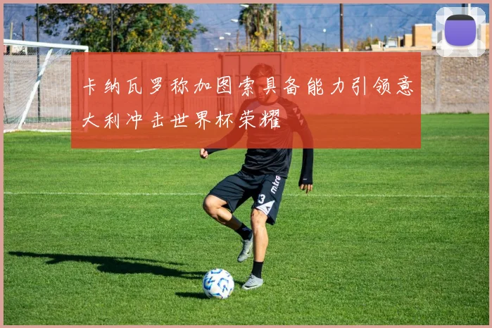 卡纳瓦罗称加图索具备能力引领意大利冲击世界杯荣耀