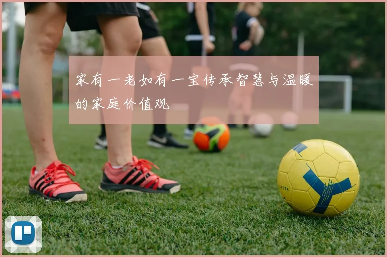 家有一老如有一宝传承智慧与温暖的家庭价值观